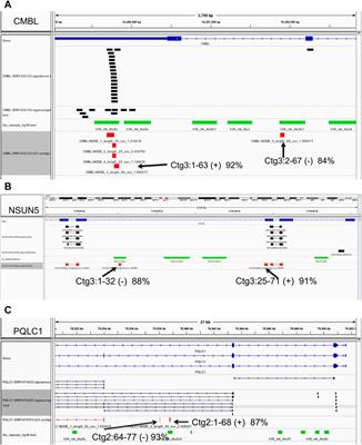 Detection of Alu Exonization Events in Human Frontal Cortex From RNA-Seq Data